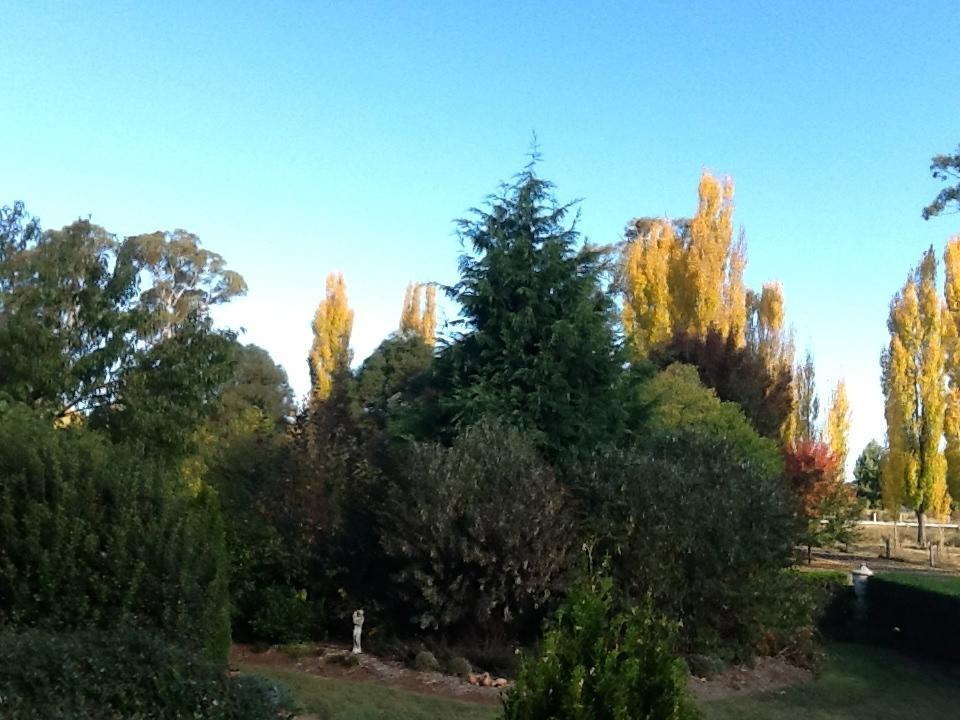 Glen Waverly Farmstay Glen Innes Zimmer foto