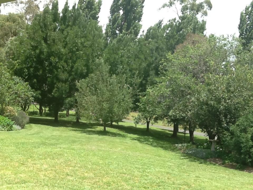 Glen Waverly Farmstay Glen Innes Zimmer foto