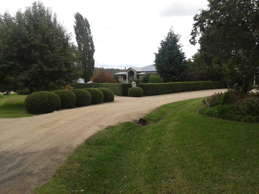 Glen Waverly Farmstay Glen Innes Exterior foto